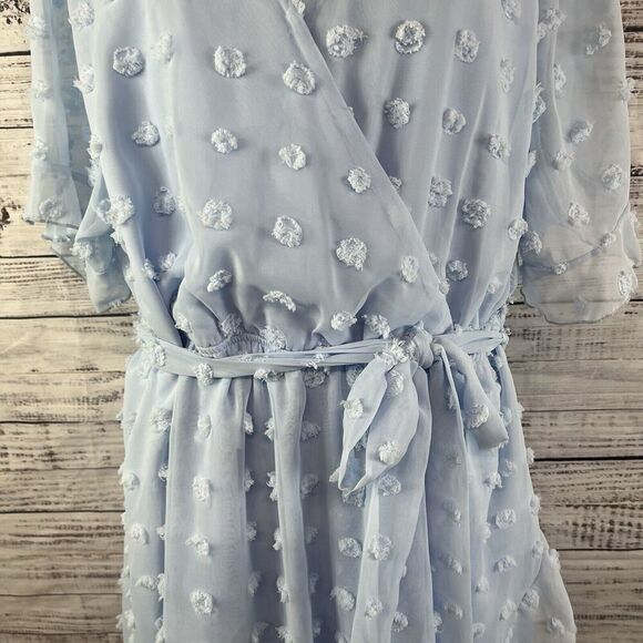 Plushe Dress Plus sz 4XL Light Blue Sheer Swiss Dots Knee A Line Wedding Church - Picture 7 of 15